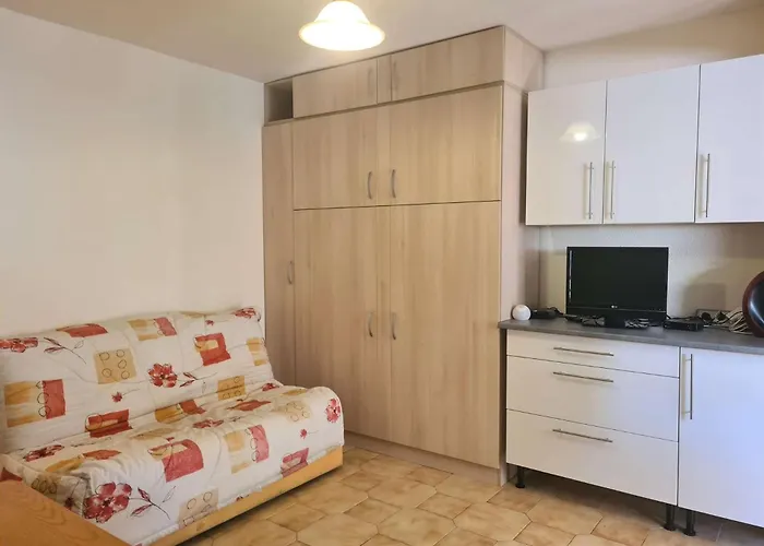 Apartment Cap D'agde 4 Couchages Ct170-066